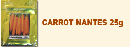 Carrot